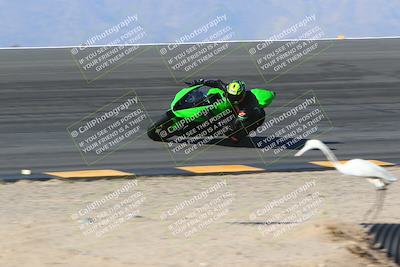 media/Jan-14-2024-SoCal Trackdays (Sun) [[2e55ec21a6]]/Bowl (11am)/